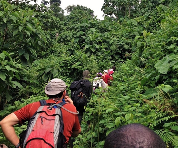 viaggio in Uganda gorilla