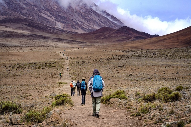 rekking,Kilimanjaro,Mountain,,Kilimanjaro,