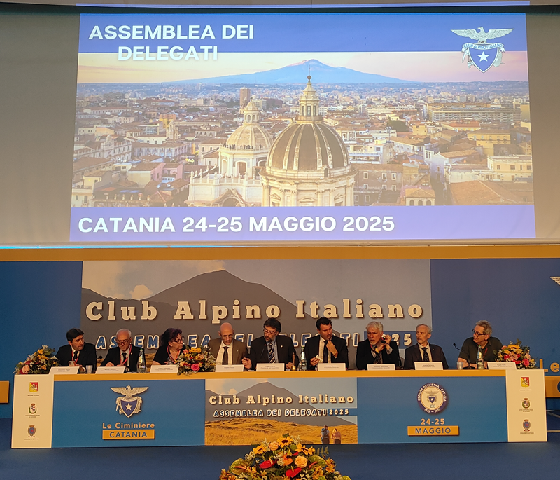 assemblea cai