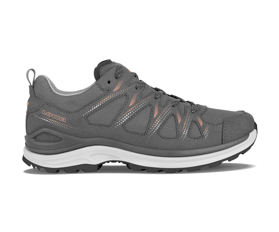 lowa innox evo II gtx lo ws