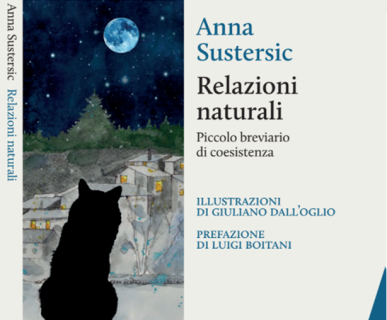 relazioni naturali di anna sustersic