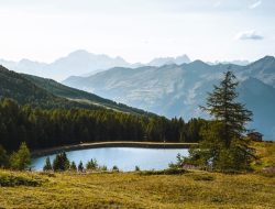 pila landscape