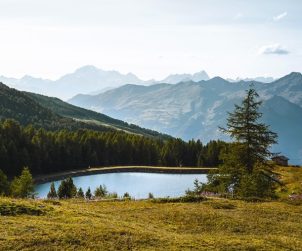 pila landscape