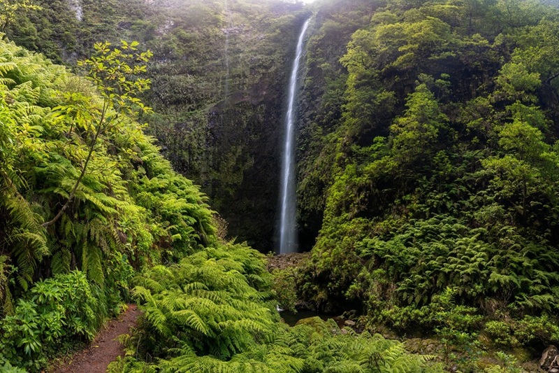 Waterfall,In,The,Levada,Of,Caldeirao,Verde,,Madeira,