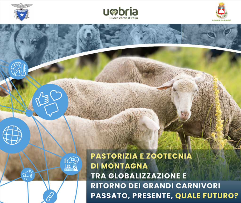 Convegno pastorizia e grand carnivori