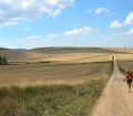 Camino_de_Santiago - Fonte: Wikipedia