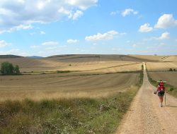 Camino_de_Santiago - Fonte: Wikipedia