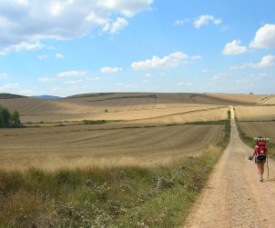 Camino_de_Santiago - Fonte: Wikipedia
