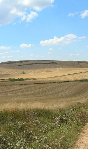 Camino_de_Santiago - Fonte: Wikipedia