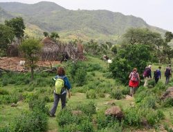 Trekking-Buska