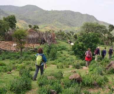 Trekking-Buska