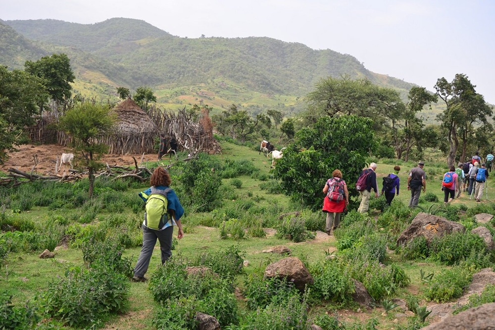 Trekking-Buska