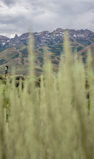 futuro della montagna