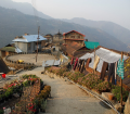 viaggio in india