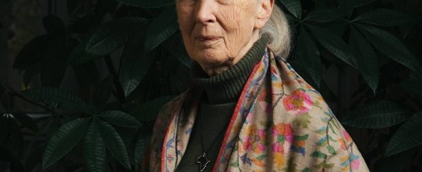 Jane Goodall morte