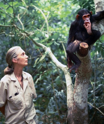 Jane Goodall