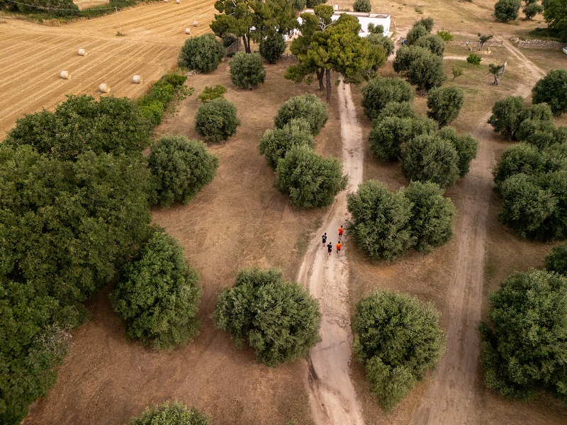 Puglia by UTMB 2025