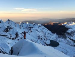 Silvan Schüpbach fallimento