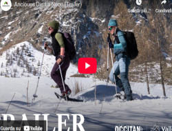 acciughe sotto la neve