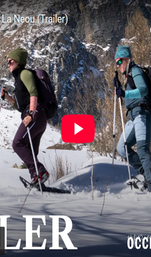 acciughe sotto la neve