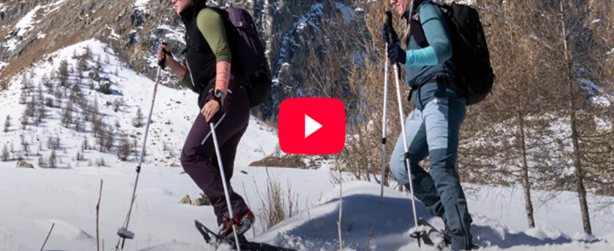 acciughe sotto la neve