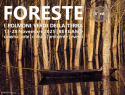 Foreste i polmoni della terra