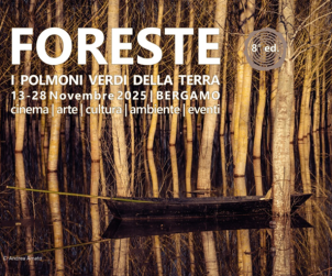 Foreste i polmoni della terra