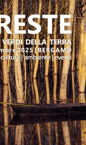 Foreste i polmoni della terra