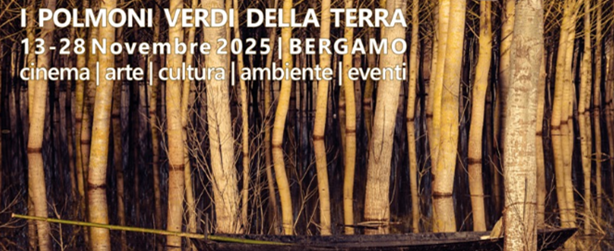 Foreste i polmoni della terra