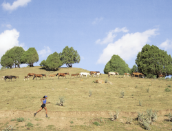 ai kol mostra fotografica
