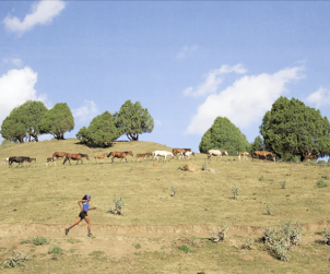 ai kol mostra fotografica