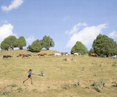 ai kol mostra fotografica