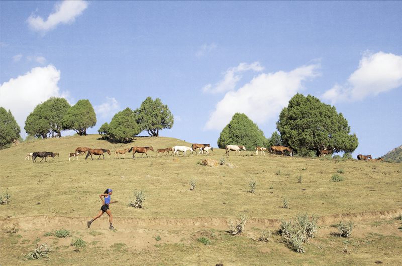 ai kol mostra fotografica