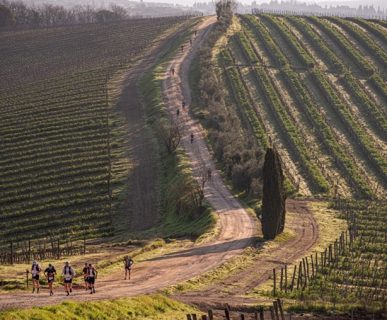 Chianti Ultra Trail