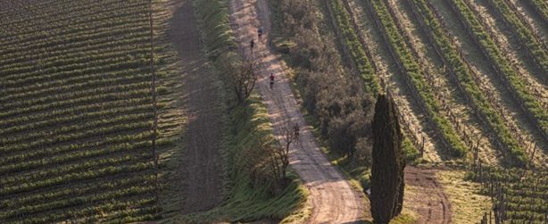 Chianti Ultra Trail