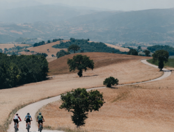 cammino di san francesco