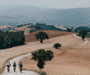 cammino di san francesco