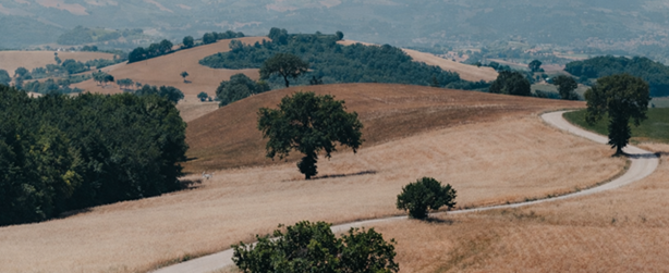 cammino di san francesco