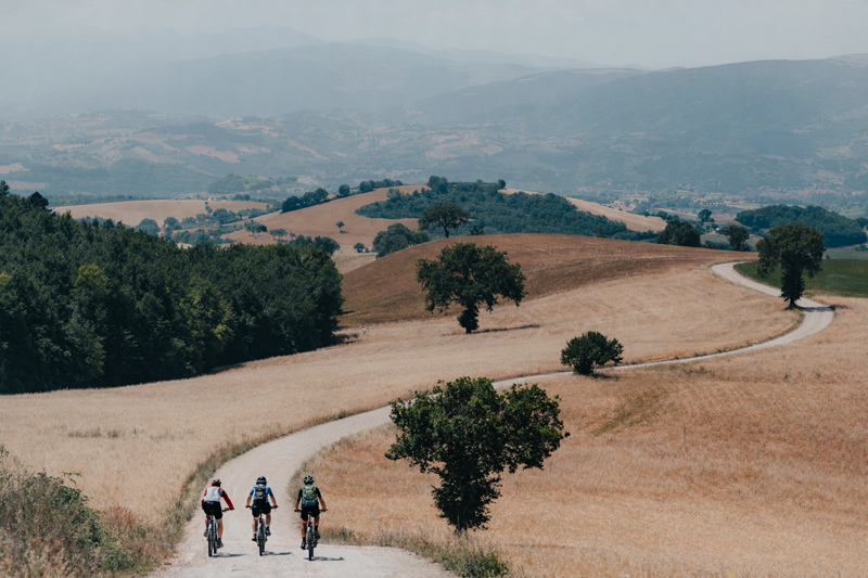 Ciclisti sulla strada di campagna