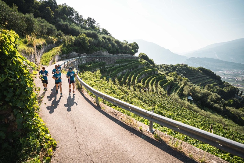 Trail running Michele Evangelisti