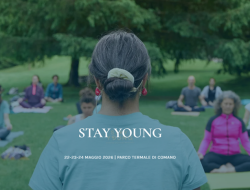 festival stay young 2026