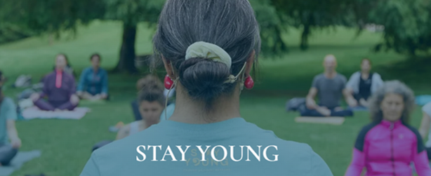 festival stay young 2026