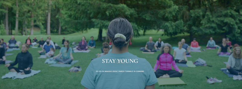 festival stay young 2026