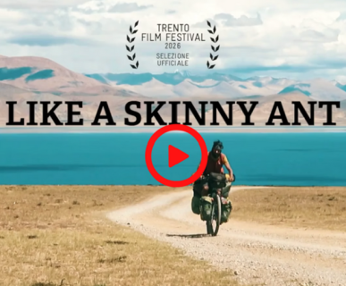 like a skinny ant