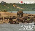 viaggio in uganda