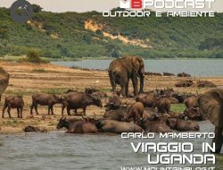 viaggio in uganda