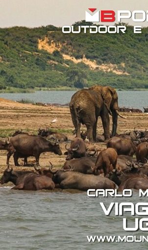 viaggio in uganda