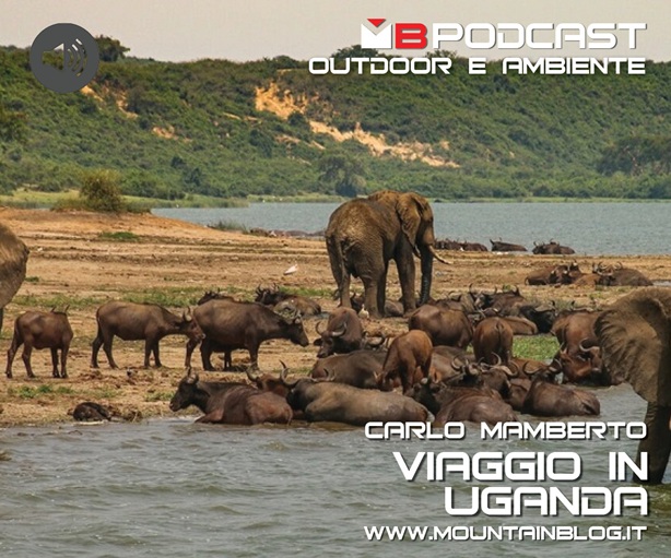 viaggio in uganda