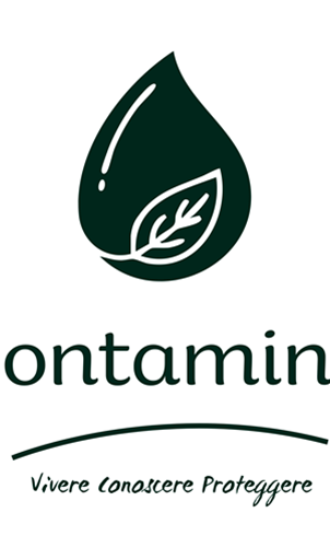 festival incontaminato