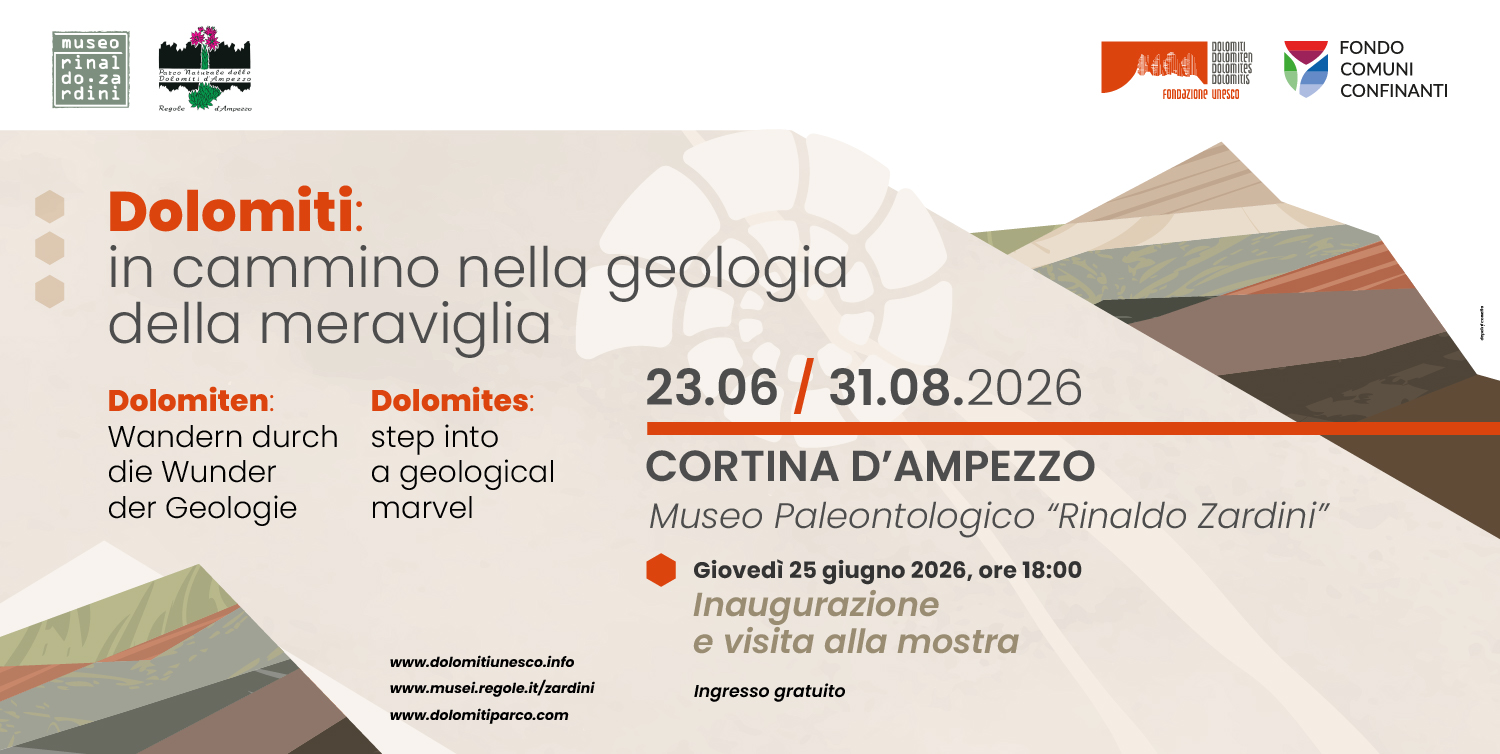 Cortina gealogia della meraviglia